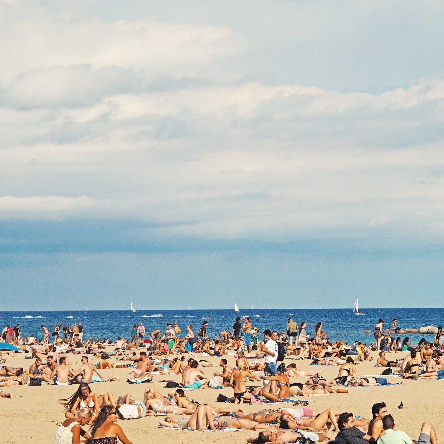 sunny day on the beach